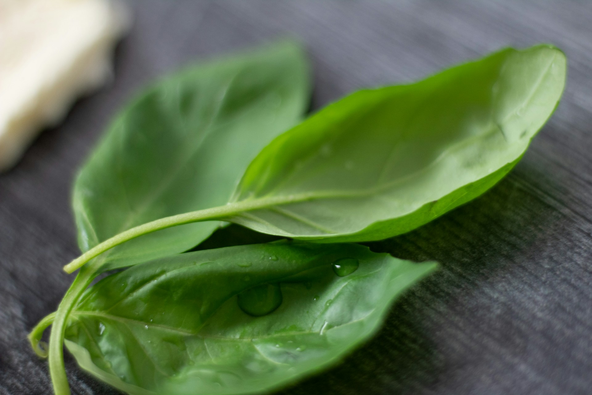 Spinach for Green Smoothie Challenge 